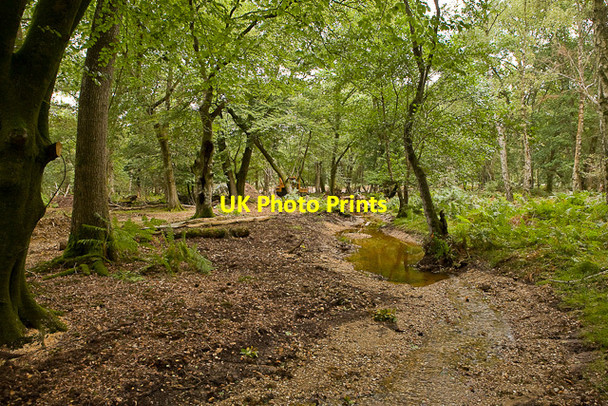 Photo 6"x4" Warwickslade Cutting: new stream bed Bank\/SU2807 c2009