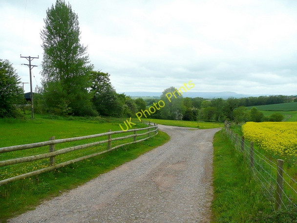 Photo 6"x4" Tracks diverge Llangattock-Vibon-Avel c2009