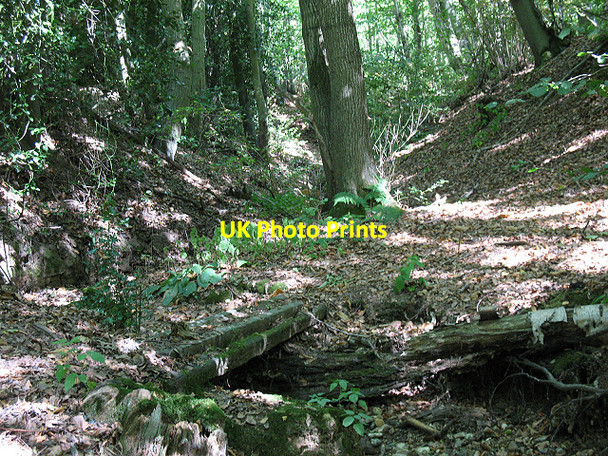 Photo 6"x4" The Winter Bourne? Winterbourne\/TR0657 c2009