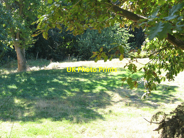 Photo 6"x4" Secluded meadow Winterbourne\/TR0657 c2009