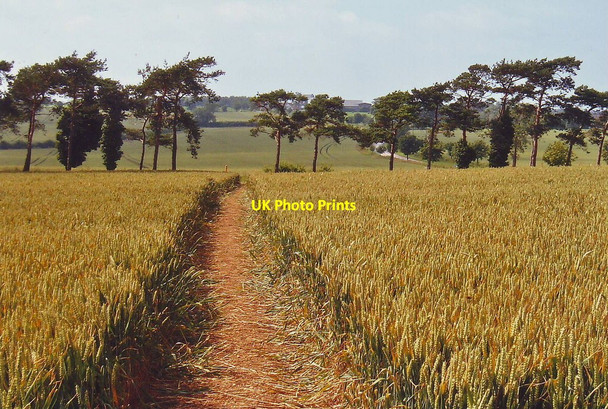 Photo 6"x4" Footpath west of Toddington, Bedfordshire Toddington\/TL0028 c2005