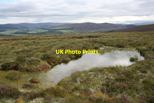 Photo 6"x4" Bog pool near Lagaguish Cragganmore\/NJ1636 c2009