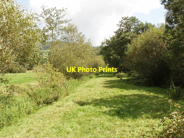 Photo 6"x4" Ditch with reeds near Dowling Pilltown c2009