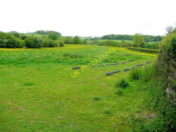 Photo 6"x4" Pastoral scene near Red House Onen c2009