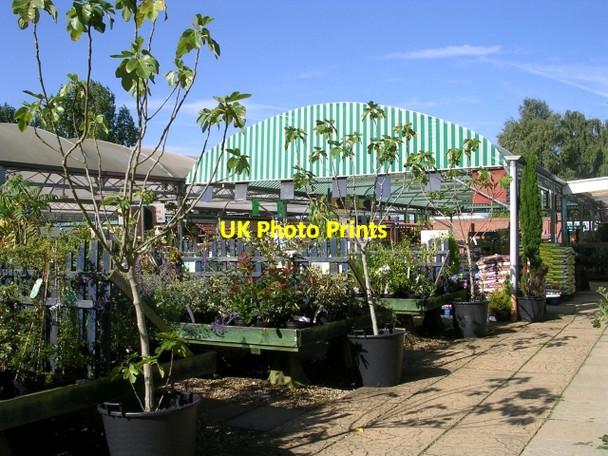 Photo 6"x4" Inside Birch Grove Garden Centre - Surfleet Road Crossgate\/TF2426 c2009