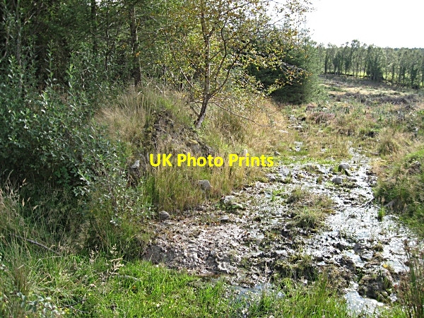 Photo 6"x4" Sodden Ground Ballywilliam c2009