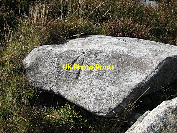 Photo 6"x4" Trig Point Rathnure c2009