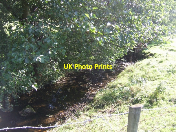 Photo 6"x4" River Trent (Head of Trent) downstream of Tongue Lane Hodgefield c2009