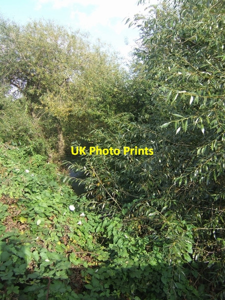 Photo 6"x4" River Trent upstream of A50 Stoke-on-Trent c2009