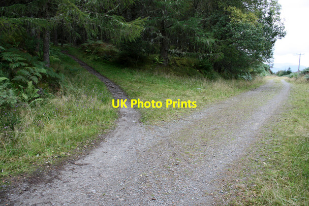 Photo 6"x4" Track junction, Leanachan Forest Torlundy c2009