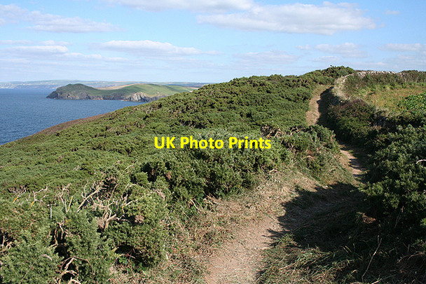 Photo 6"x4" St Minver Highlands: near Carnweather Point New Polzeath c2009