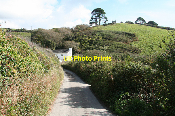 Photo 6"x4" Lansallos: lane by Talland Bay Porthallow\/SX2251 c2009