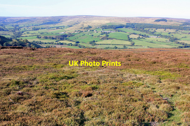Photo 6"x4" Moorland above Rosedale Thorgill c2009