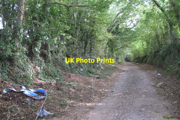 Photo 6"x4" Fly-tipping near holiday parks Dawlish c2009