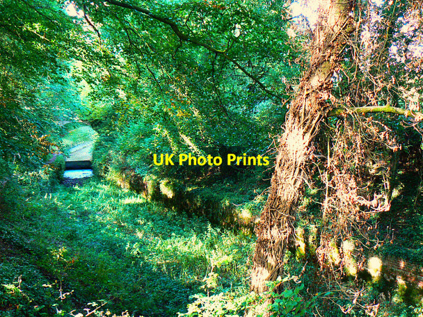 Photo 6"x4" Thames and Severn Canal, north-east of Tarlton Tarlton c2009
