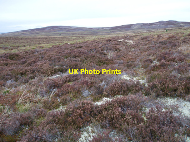 Photo 6"x4" Overgrown track on moorland Upper Derraid c2009
