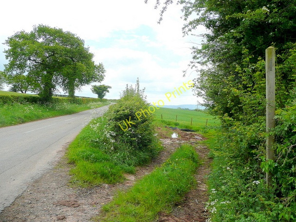 Photo 6"x4" Footpath to Middle Farm Crossway\/SO4419 c2009