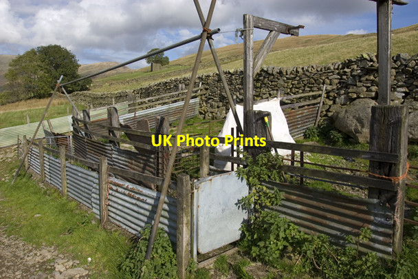 Photo 6"x4" Sheepfold on Green Quarter Green Quarter c2009
