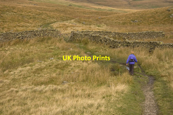 Photo 6"x4" Path on Birk Rigg Green Quarter c2009