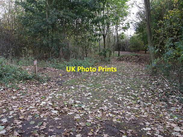 Photo 6"x4" Permissive Path Kings Hedges c2009