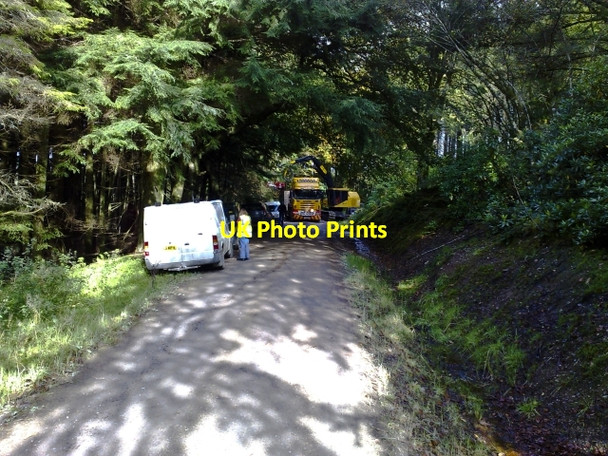 Photo 6"x4" Forestry Machinery being Unloaded Grogport c2009