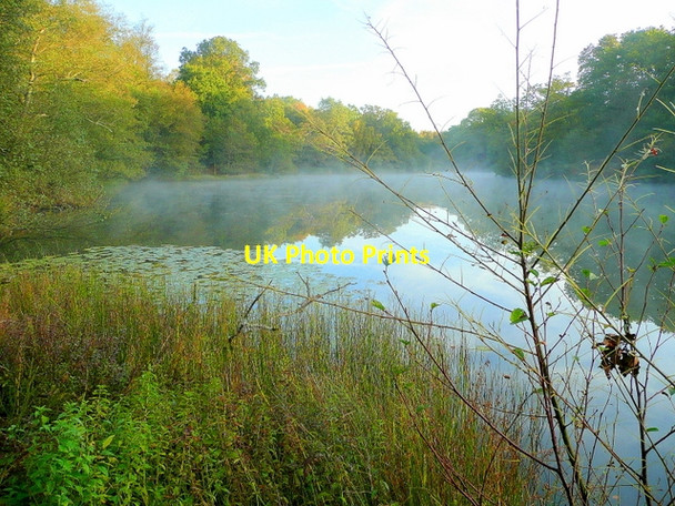 Photo 6"x4" Lower Cannop Pond; October morning mist 3 Cannop c2009