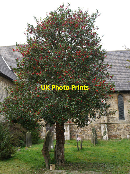 Photo 6"x4" All Saints Churchyard, Winteringham Winteringham c2009