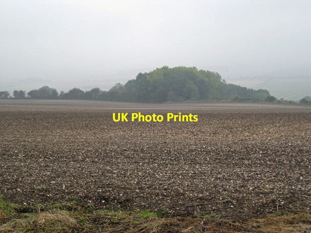 Photo 6"x4" Looking towards Worlaby Fox Covert Bonby c2009