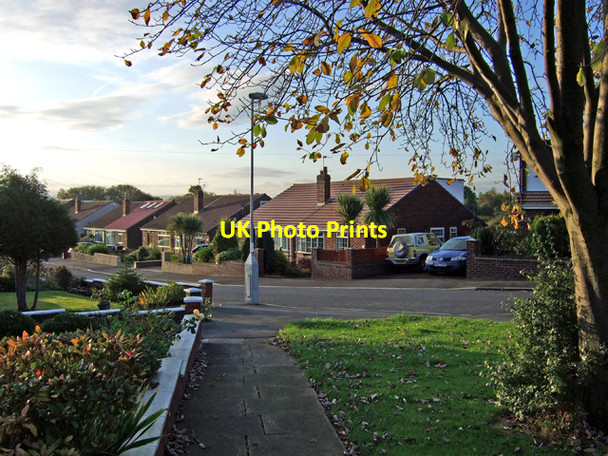 Photo 6"x4" Early morning dog walk Denton\/SJ9295 c2009