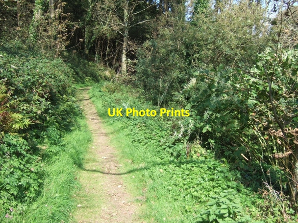 Photo 6"x4" Footpath from St Ishmael's to Monk Haven Musselwick c2009