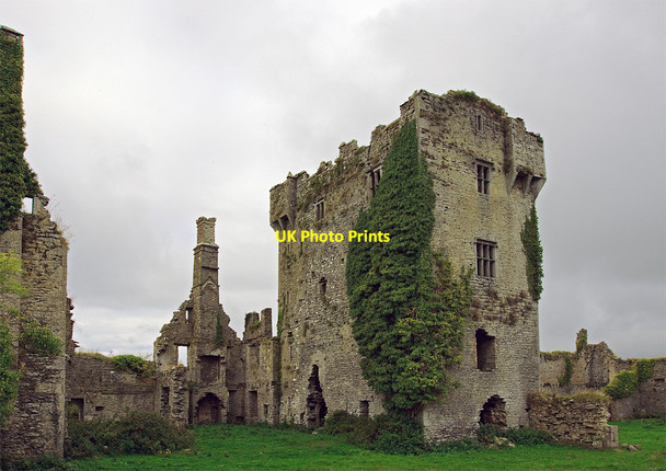 Photo 6"x4" Castles of Munster: Ballygrennan, Limerick (2) Bruff c2009
