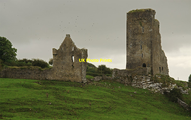 Photo 6"x4" Castles of Munster: Graystown, Tipperary (1) Killenaule c2009
