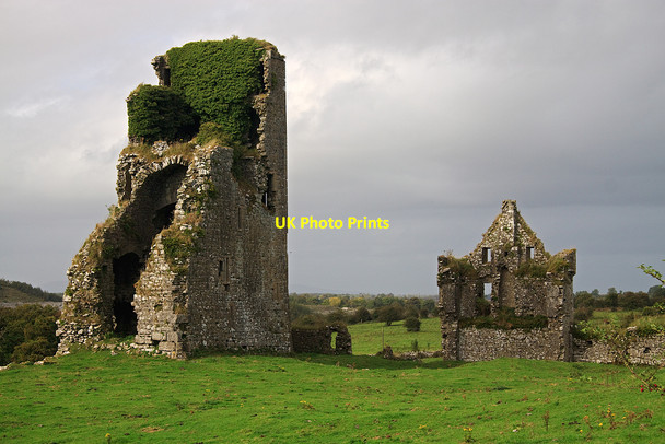 Photo 6"x4" Castles of Munster: Graystown, Tipperary (2) Killenaule c2009