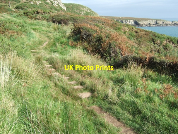 Photo 6"x4" Stepping stones through soft ground Treginnis c2009