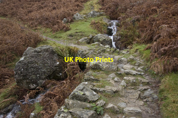 Photo 6"x4" Track to Alcock Tarn Grasmere\/NY3307 c2009