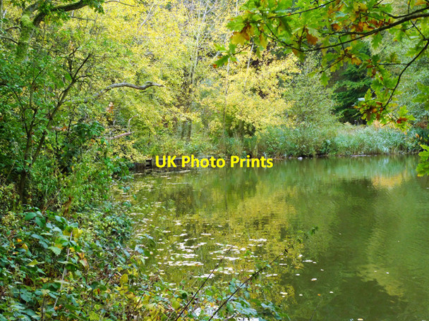 Photo 6"x4" The Southern End of the Lake, Stockgrove Park Bragenham c2009
