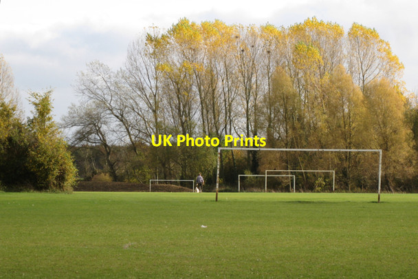 Photo 6"x4" Entertaining dog, Newbold Comyn Park, Royal Leamington Spa Royal Leamington Spa c2009
