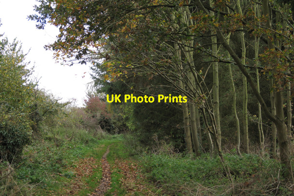 Photo 6"x4" Perimeter track, Newbold Comyn Park, Royal Leamington Spa Radford Semele c2009