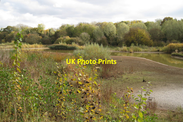 Photo 6"x4" Wetland, Leam Valley local nature reserve, Royal Leamington Spa Radford Semele c2009