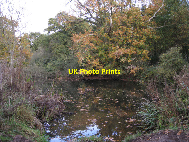 Photo 6"x4" Restored pond, Newbold Comyn Park Royal Leamington Spa Royal Leamington Spa c2009