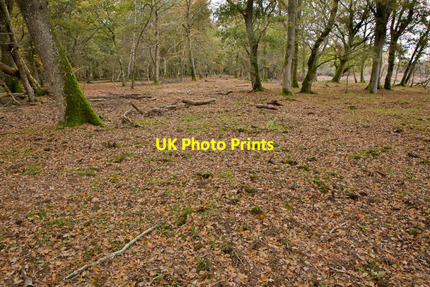 Photo 6"x4" Warwickslade Cutting: filled in Bank\/SU2807 c2009