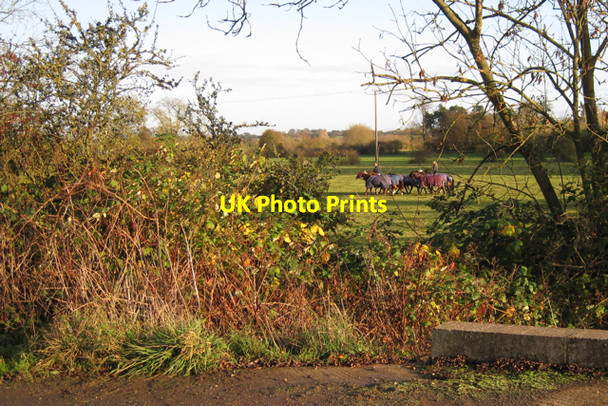 Photo 6"x4" Exercising horses near Ford Farm Campion Hills c2009
