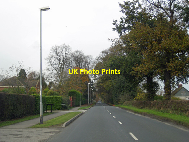 Photo 6"x4" Greenstiles Lane, Swanland Swanland c2009