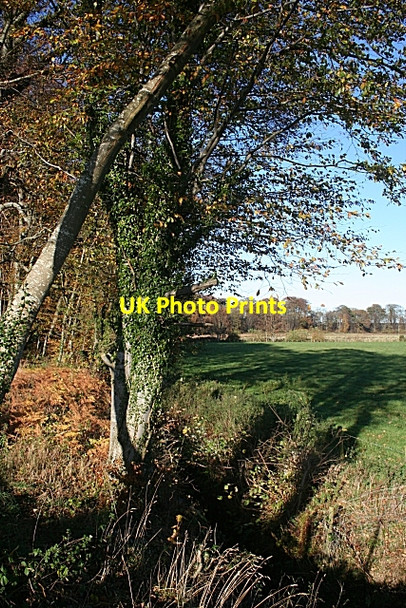 Photo 6"x4" Dipple Brae Crofts of Dipple c2009