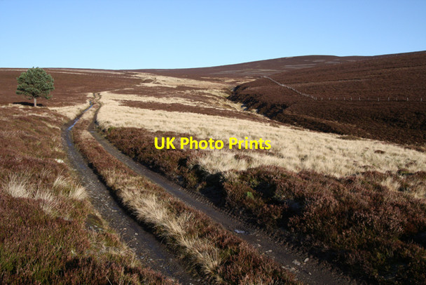 Photo 6"x4" Track to Cairn Vachich Corgarff c2009