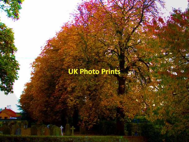 Photo 6"x4" Autumn In The Churchyard Wilberfoss Wilberfoss c2009