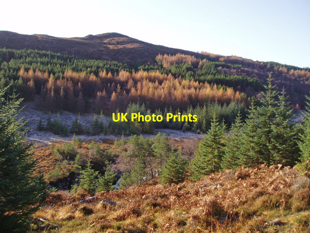 Photo 6"x4" Tree covered slopes of Meall a' Chuilinn Grudie\/NH3062 c2009