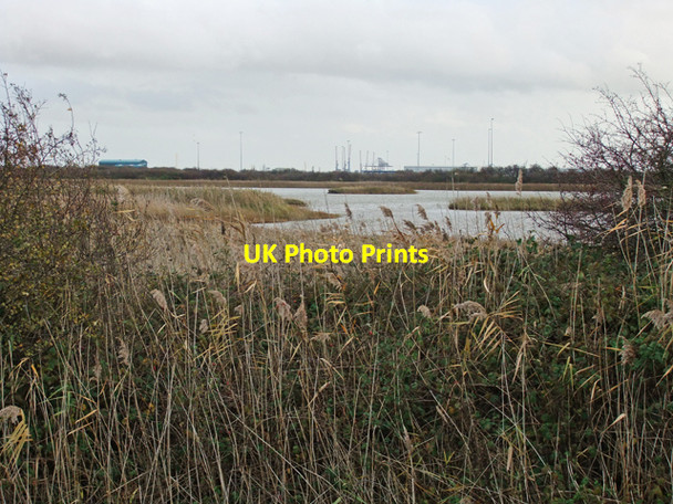 Photo 6"x4" Killingholme Haven Pits Nature Reserve North Killingholme c2009