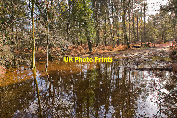 Photo 6"x4" Warwickslade Cutting: flood plain Bank\/SU2807 c2009