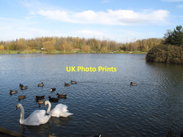 Photo 6"x4" Bransholme Fishing Lake Sutton-on-Hull c2009